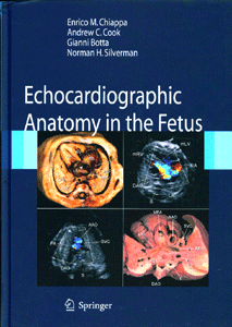 Echocardiographic Anatomy in the Fetus